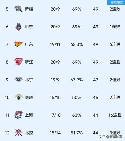 篮球运动员分在哪个球队?深度解析球员球队归属!