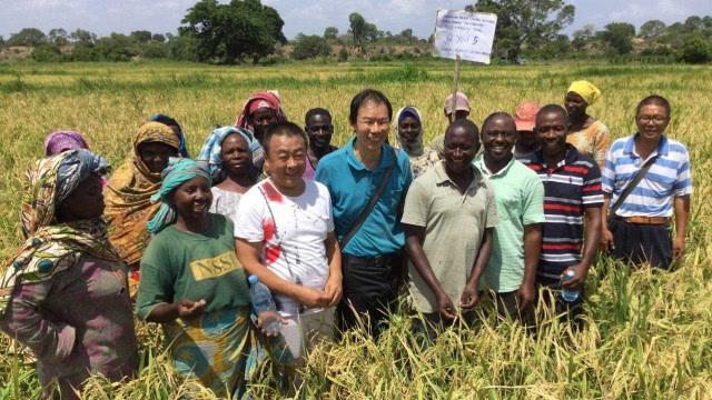 贝宁一年赚多少?探秘这个神奇的非洲小国