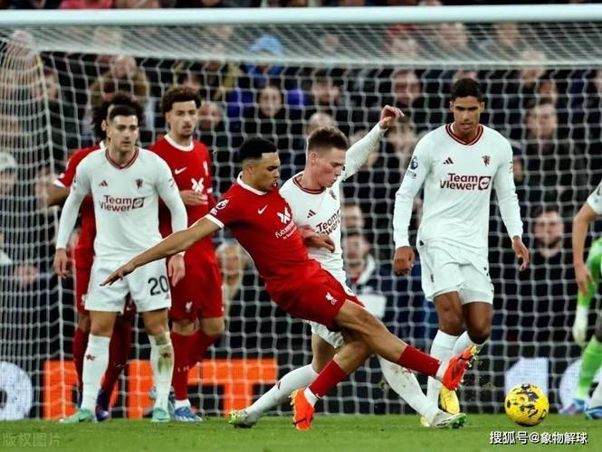 谁是更强的球队?英格兰与比利时足球实力大比拼!