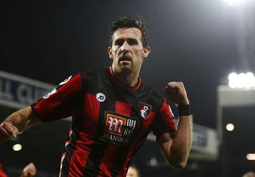 范安霍尔特职业生涯表现如何?实力深度解析