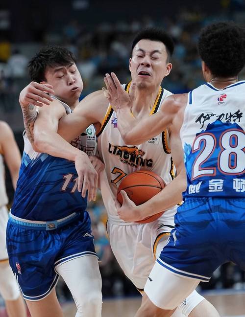 张镇麟爸爸是哪个队的？他与儿子的篮球渊源