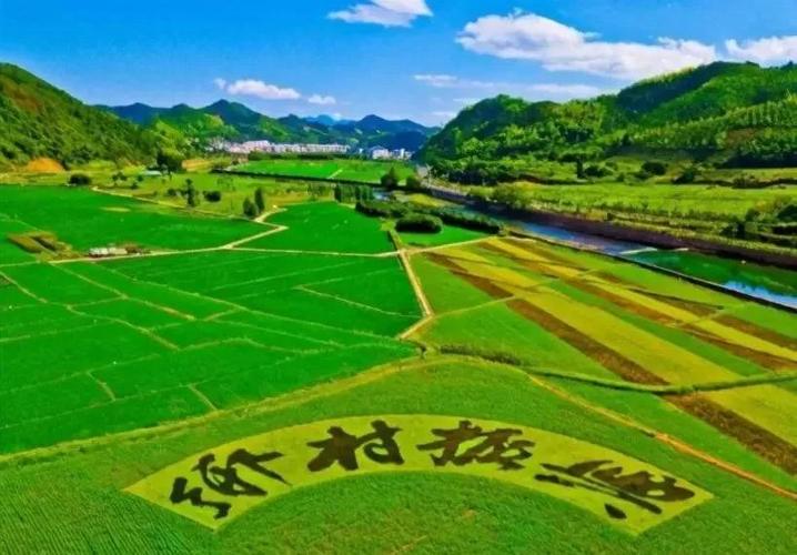 深入探秘马蒂亚斯：游戏角色、NBA球员还是学者？