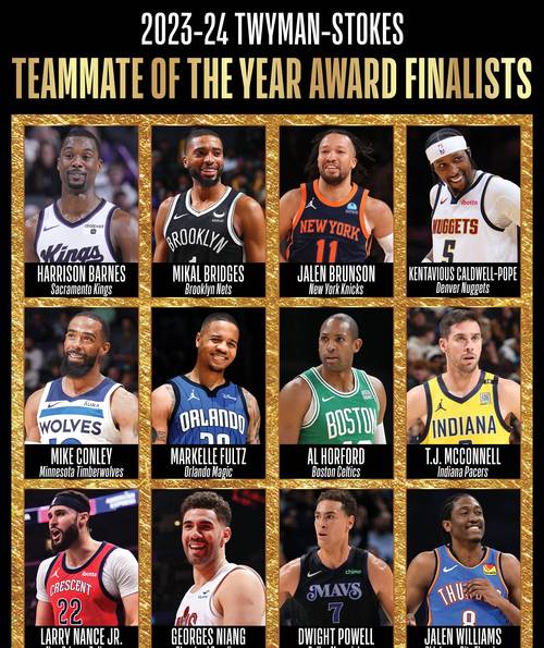 NBA都有哪些厉害人物？带你了解那些篮球大神们！