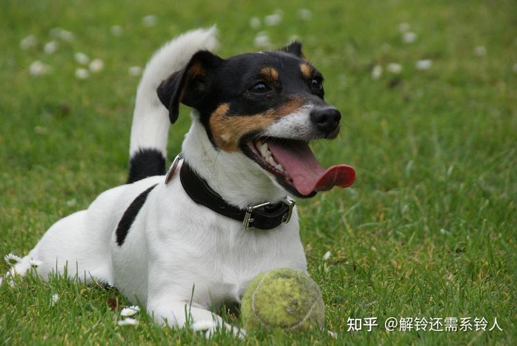 如何评价范德萨的守门技术？他为何如此伟大