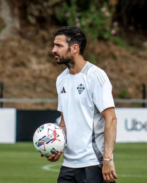 法布雷加斯年薪曝光!他到底赚了多少钱?