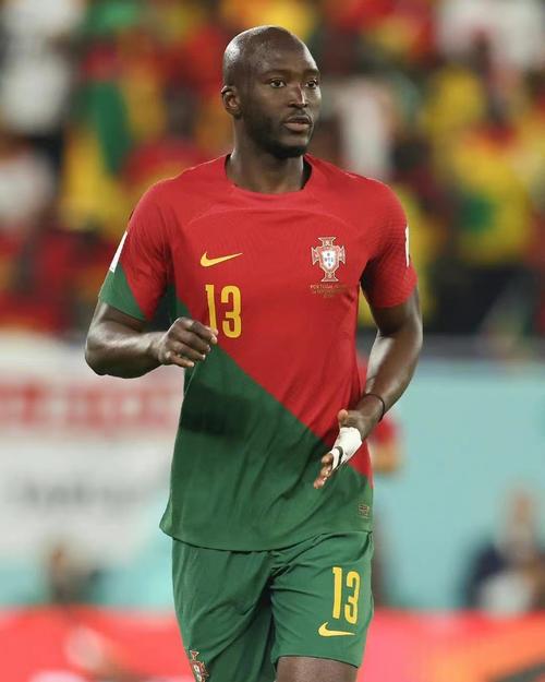 达尼洛佩雷拉:实力究竟如何?深度剖析他的职业生涯和成就