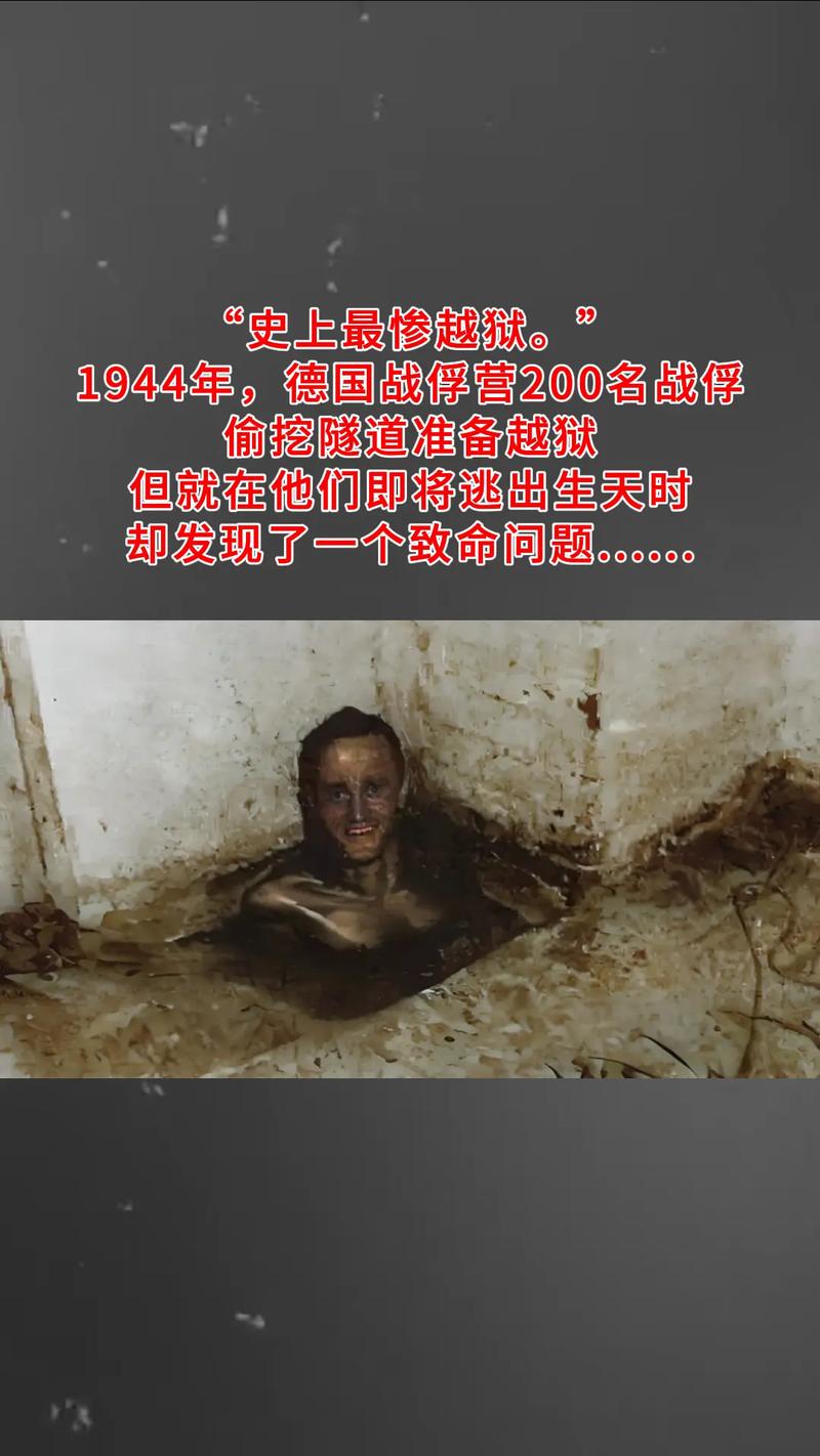 解密德国二战失败之谜：盟军实力和自身缺陷的双重打击