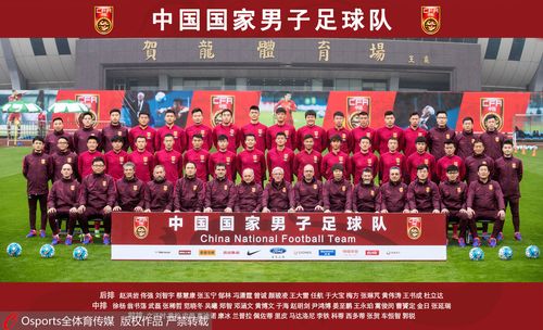蒿俊闵还是张稀哲？中国足球中场核心之比较分析