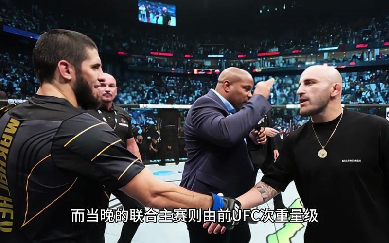 在哪看UFC直播？最全观看指南都在这！