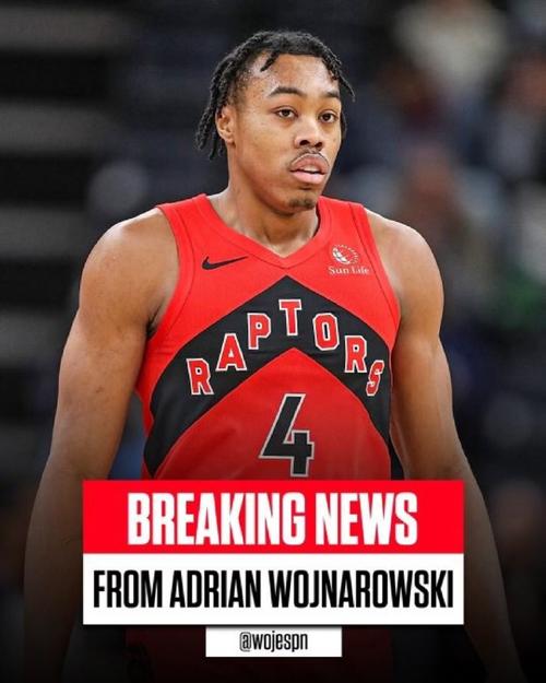 巴恩斯在哪个队？深度解析他的职业生涯和未来发展