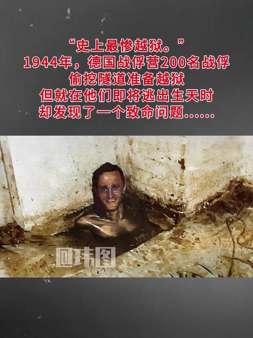 解密德国二战失败之谜：盟军实力和自身缺陷的双重打击