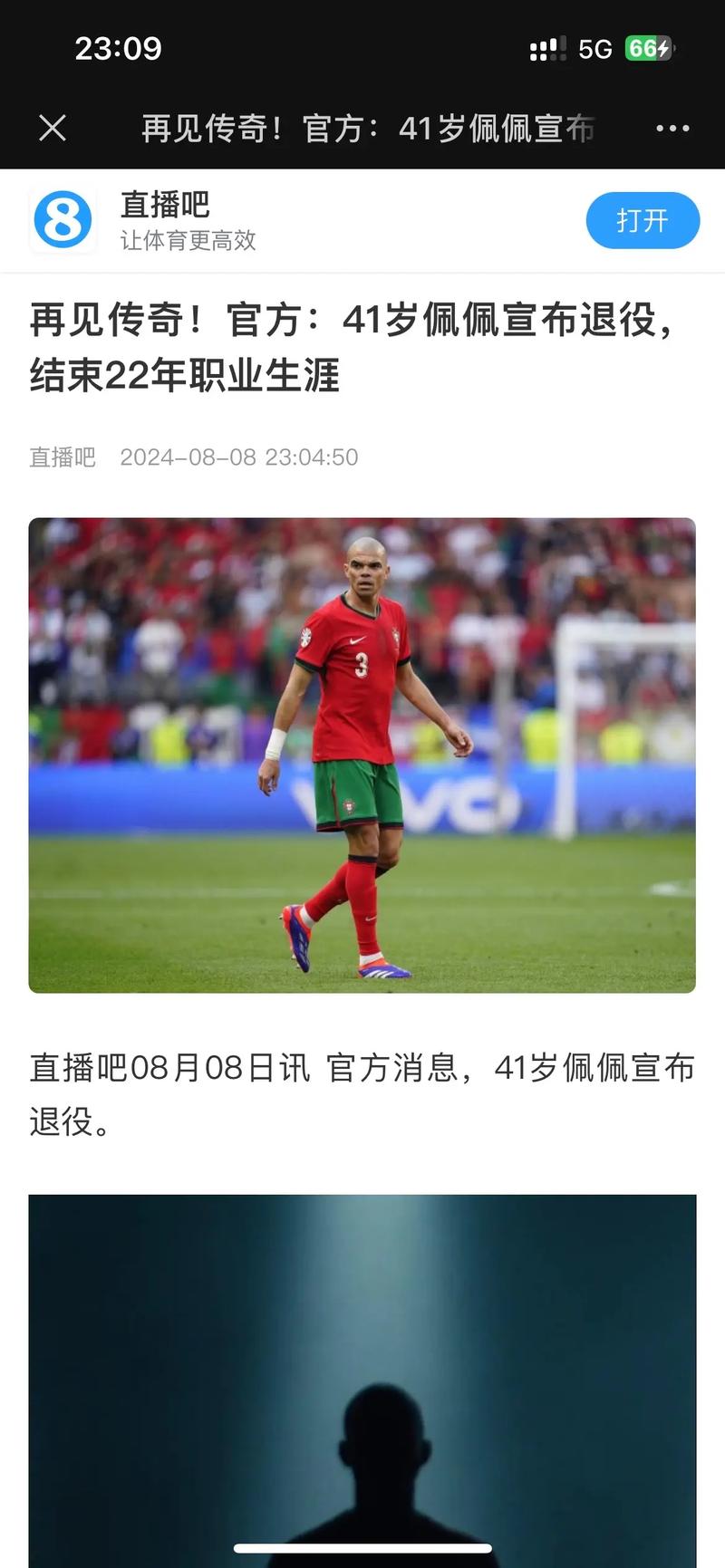 葡萄牙球星佩佩退役了吗？佩佩22年职业生涯画上句号