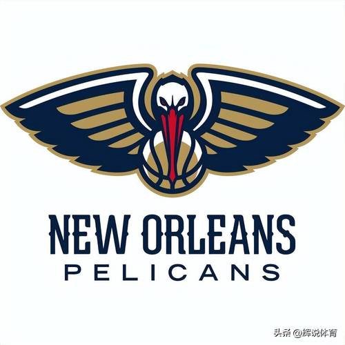 NBA鹈鹕队是哪个州的球队？揭秘鹈鹕队的主场州份