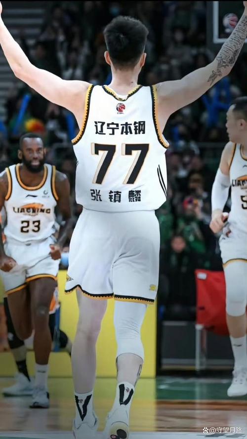 张镇麟爸爸是哪个队的？他与儿子的篮球渊源