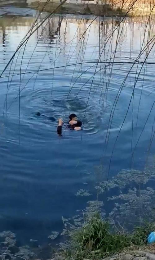 的哥跳河救人有啥学习价值?(家庭必备英雄事迹启示录!)