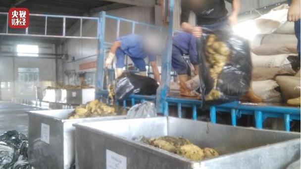 酸菜牛肉面仓库火灾损失惨重？如何避免买到问题货