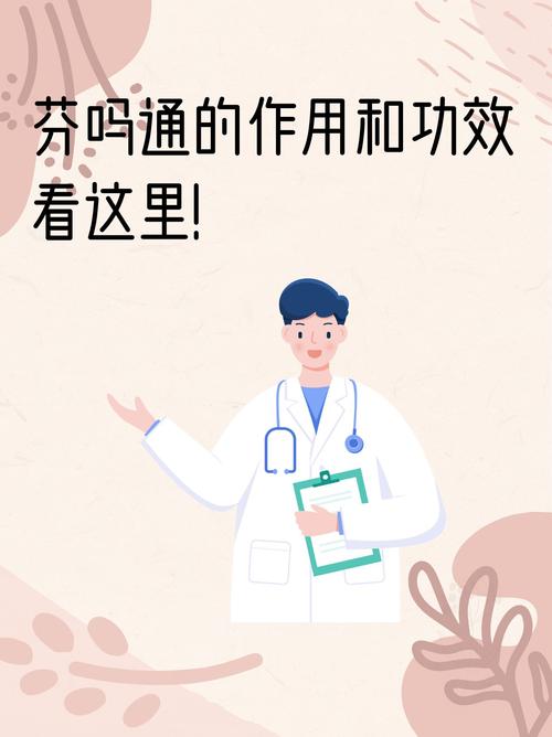 芬克是什么?简单讲透核心概念入门指南!