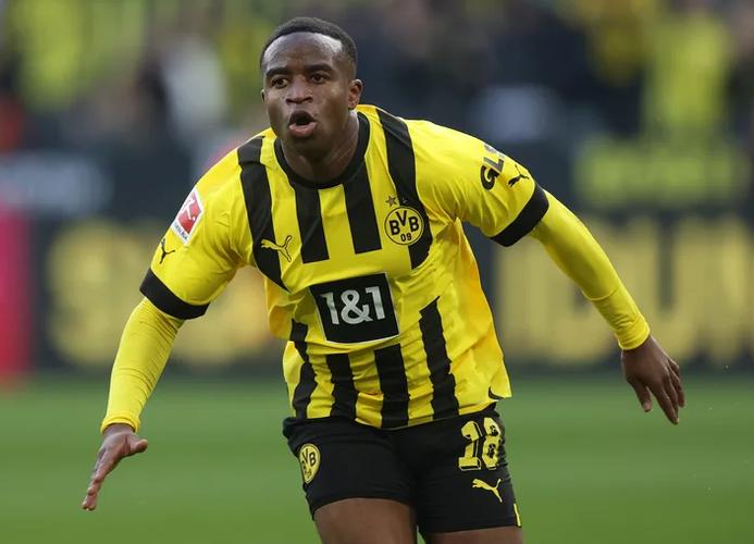 穆科科是什么人?一文了解他的成长故事和特点