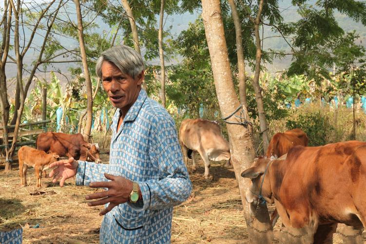 驼背骑士角色卡西莫多分析，悲惨命运为何让人同情？