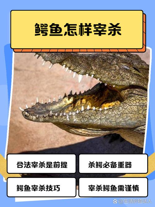 鳄鱼吃掉14岁男孩如何避免危险？(5个实用防护方法)