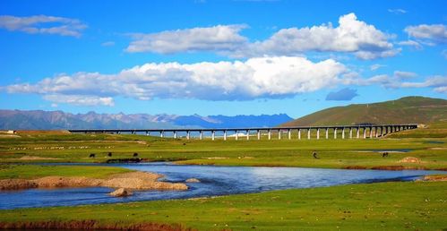 青海森科在青海哪里？(地址位置和交通路线介绍)