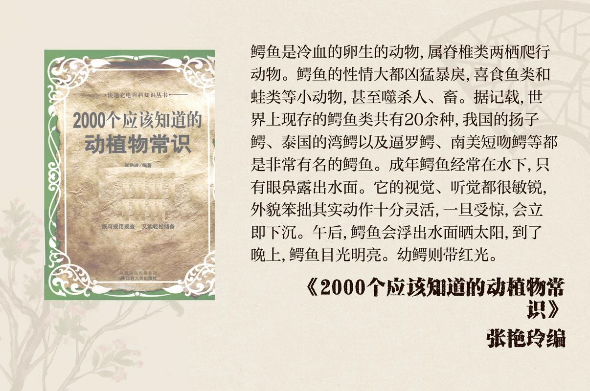 鳄鱼吃掉14岁男孩如何避免危险？(5个实用防护方法)