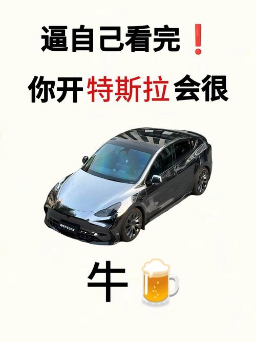 特斯拉维权女车主如何成功维权？(老司机经验传授！)