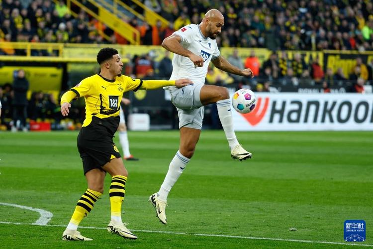 德甲在线直播免费怎么看？2024必备方法高清流畅指南