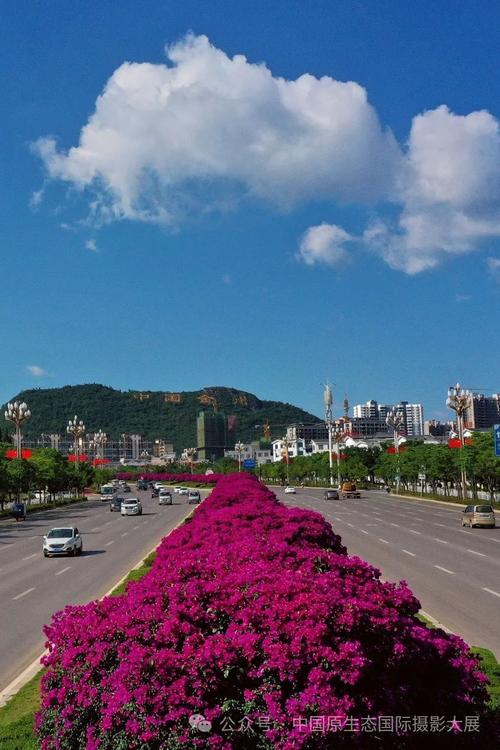 金州是哪个省的城市？专家分享快速辨识技巧！