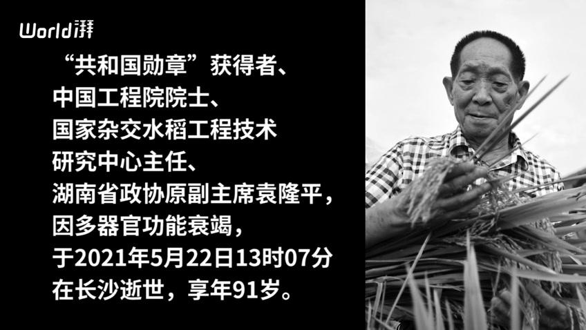 袁隆平的世界地位有多高?联合国都承认他的卓越贡献