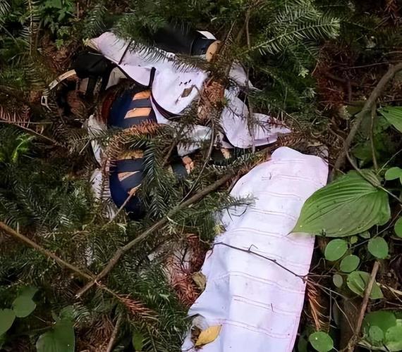 翼装飞行员安安事故真相揭秘 她的微博内容令人动容