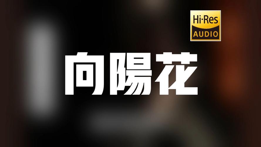 谢天笑向阳花歌词解析？深度揭秘歌曲的深层含义！