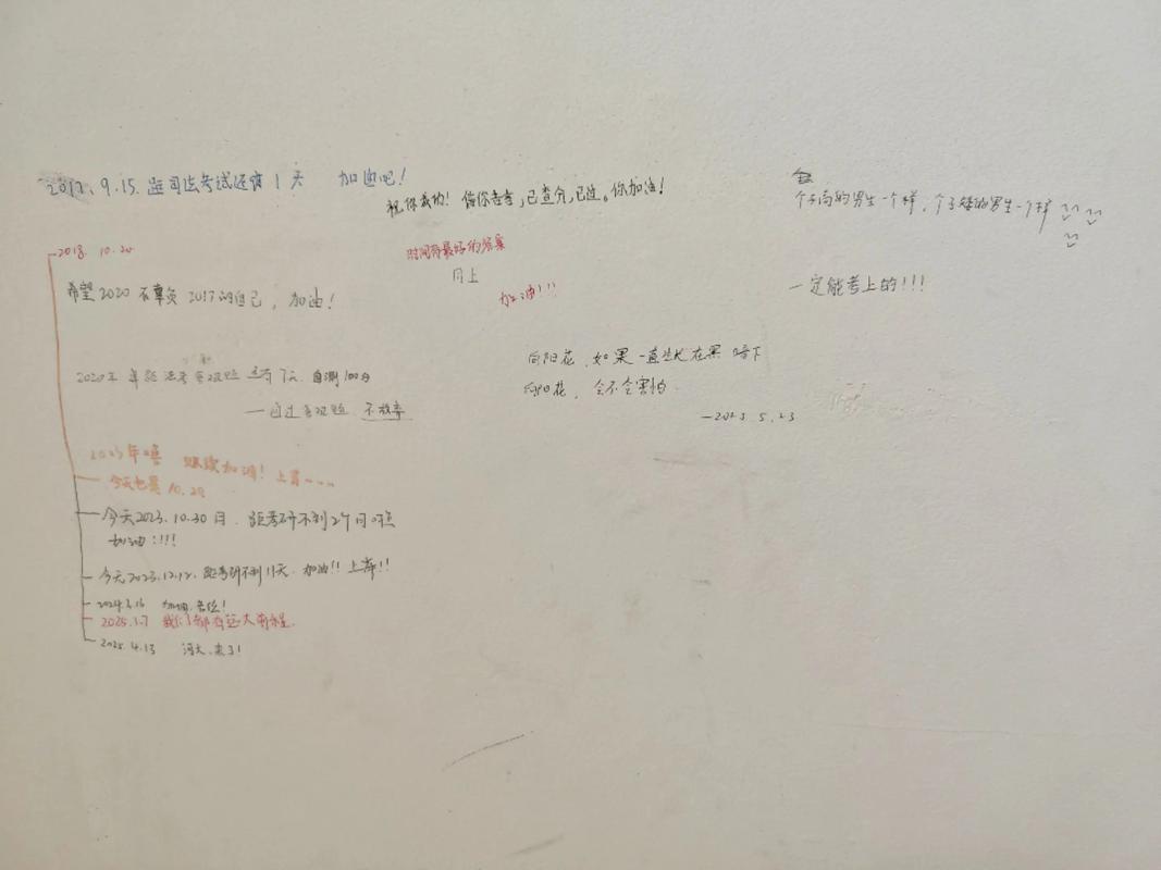 谢天笑向阳花歌词解析？深度揭秘歌曲的深层含义！