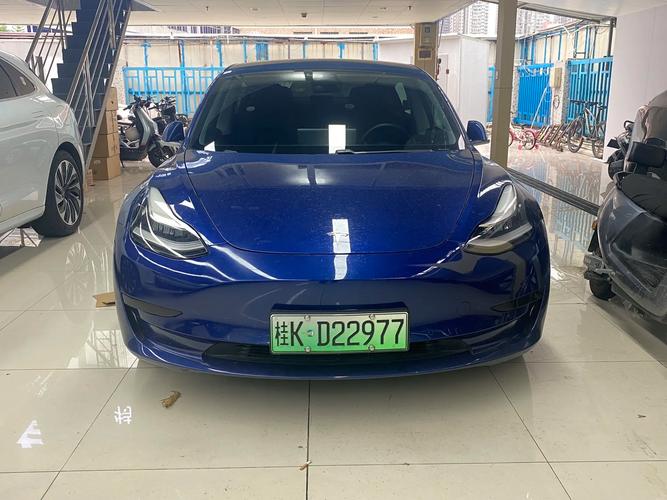 蓝牌特斯拉多少钱车型推荐?热销款对比选购攻略!