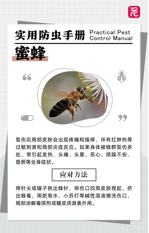 马杜阿本是什么东西?普通人也能看懂的入门科普