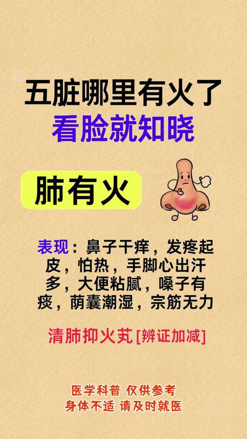 五个人火了是什么原因？揭秘背后这五个关键点！