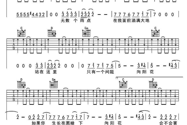 谢天笑向阳花歌词解析？深度揭秘歌曲的深层含义！