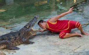 鳄鱼吃掉14岁男孩如何避免危险？(5个实用防护方法)