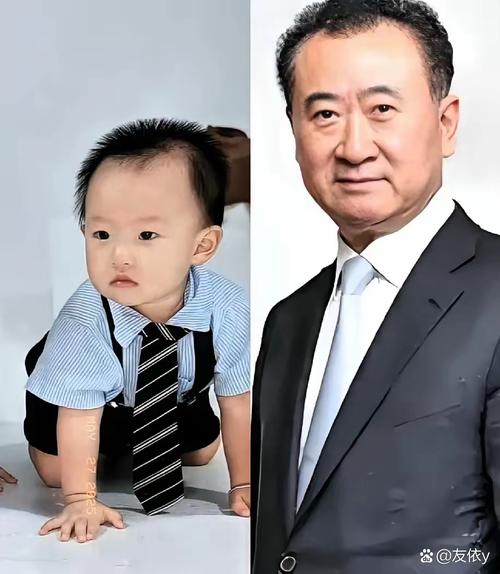 王健林有几个儿子完整家庭信息一次说清楚