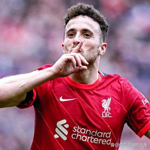 荷兰冠军是什么？揭秘这个称号的由来和意义！