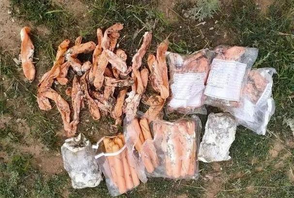 贵州公交车坠湖真相大白（原因细节全面分析）