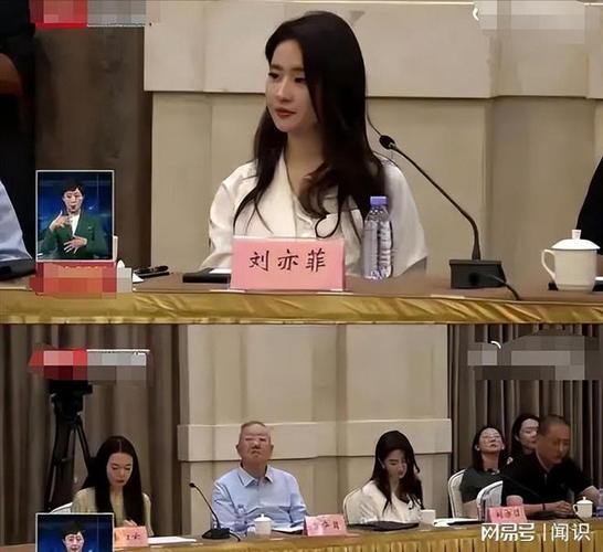 北京人在纽约刘亦菲口碑好吗？(行家点评助你决策！)