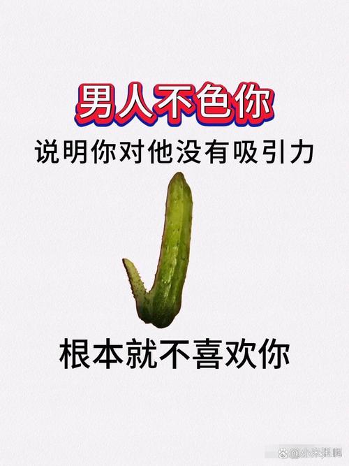 sesenan是什么(简单解释轻松掌握要点)