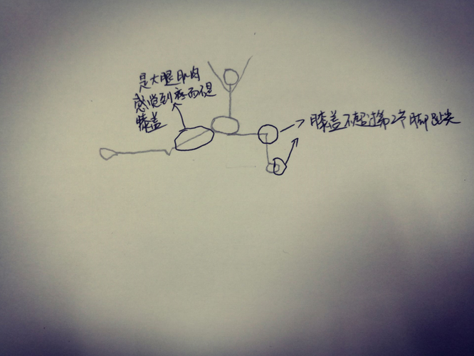 长谷部诚腰部骨折原因分析?(这几点避免常见运动伤害!)