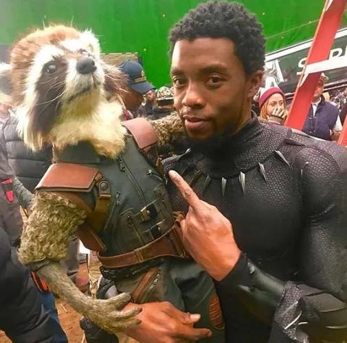 黑豹去世是真的吗？官方消息证实粉丝集体哀悼！