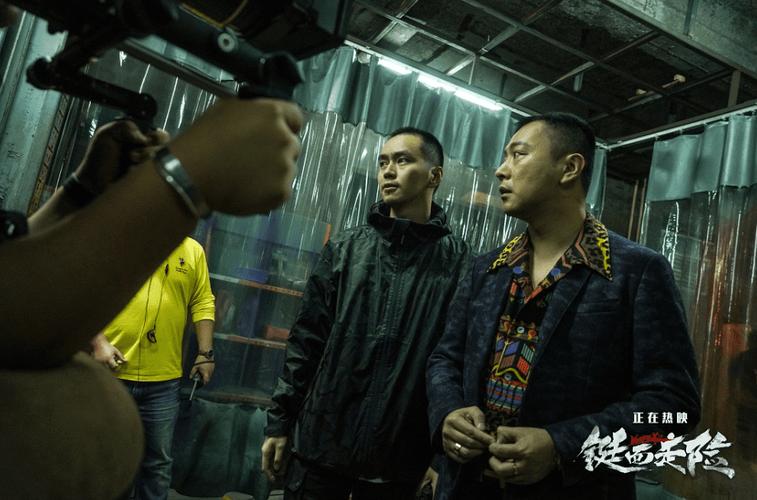 铤而走险评价值得看吗（看过的观众这么评价）