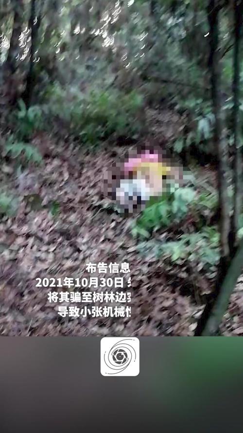 杀害长葛7岁小女孩嫌犯落网 案件最新进展详情披露