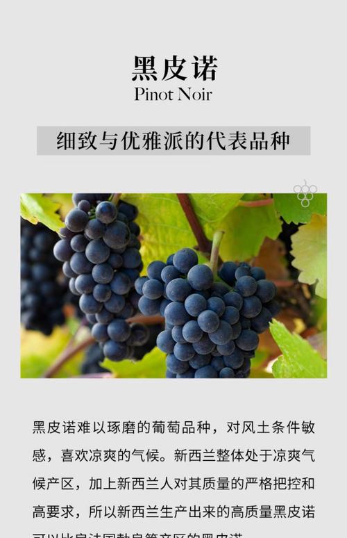 皮诺到底怎么选这三个关键点必须要注意