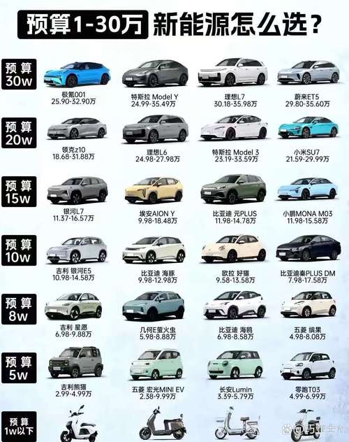 蓝牌特斯拉多少钱车型推荐？热销款对比选购攻略！