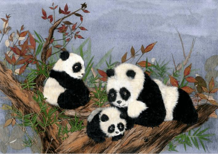 邱礼的代表作回顾？盘点那些经典作品不容错过！